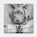 Search for dog magnets Create your own