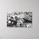 Search for barr art States
