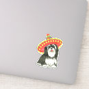 Search for havanese stickers Bichon havanais