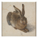Search for animal art Durer