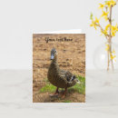 Search for duck greeting Thank you