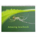 Search for arachnids calendars Spiders