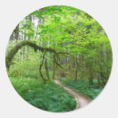 Search for grove stickers Nature