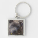 Search for staffies key rings Terrier
