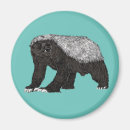 Search for attitude magnets Illustration