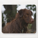 Search for sporting dog mousepads Dogs