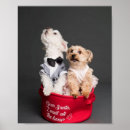 Search for dog bones posters Puppies