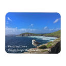 Search for driving magnets Ireland