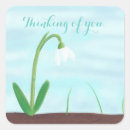 Search for soil cards invites Floral