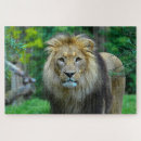 Search for lion king puzzles Nature