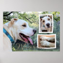 Search for pitbull posters Pet