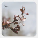 Search for plum blossom stickers Nature