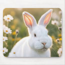 Search for rabbit ear mousepads Bunny
