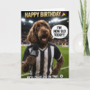 Search for funny football birthday cards Humour