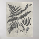 Search for botanical study posters Leaf