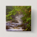 Search for appalachian trail badges Forest
