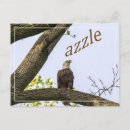 Search for upload postcards Do it yourself