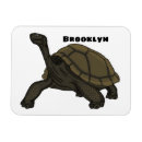 Search for tortoise magnets Reptile