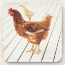 Search for two sided coasters Full length