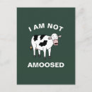 Search for funny cow puns postcards Humour