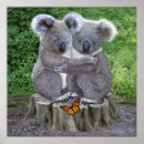 Search for koala nursery decor Adorable