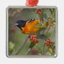 Search for migrator christmas tree decorations Feeding