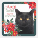 Search for new years cat stickers Merry christmas