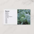 Search for cabbage business cards Garden