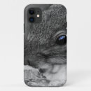 Search for cute squirrel iphone cases Squirrels