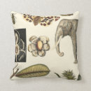 Search for insect cushions Background