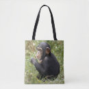 Search for chimpanzees bags Animal wildlife