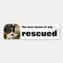 Search for mill dog Dogs