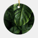 Search for dew drop Green