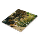 Search for wildlife tiles Nature