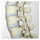 Search for human body part coasters Medical