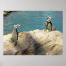 Search for wildlife photography posters Nature