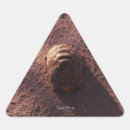 Search for animal tracks stickers Patterns