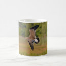 Search for sea gull mugs Bird