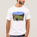Search for felipe tshirts San juan