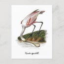 Search for public domain postcards Bird
