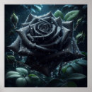 Search for rose design posters Garden