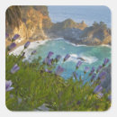 Search for pacific ocean stickers Nobody