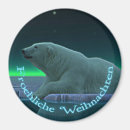 Search for polar bear magnets North pole