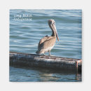 Search for great image magnets Photography