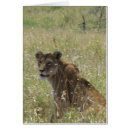 Search for tall grass Animal