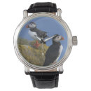 Search for puffin watches Atlantic