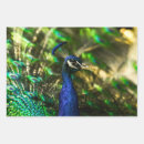 Search for wildlife wrapping paper Colorful
