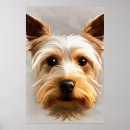 Search for yorkshire terrier posters Pet