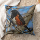 Search for russet cushions Nature
