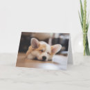 Search for corgi puppy cards Canine